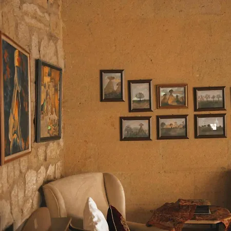 Temenni Evi Otel Ürgüp